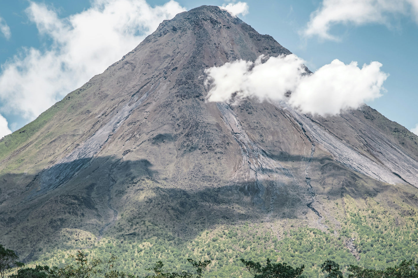 Wonders of Costa Rica: 7 Days of Rainforests, Wildlife, and Coastal Escapes - BEACH TO BRAES
