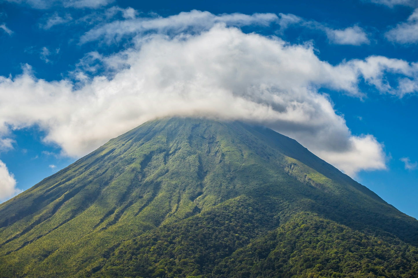 Wonders of Costa Rica: 7 Days of Rainforests, Wildlife, and Coastal Escapes - BEACH TO BRAES