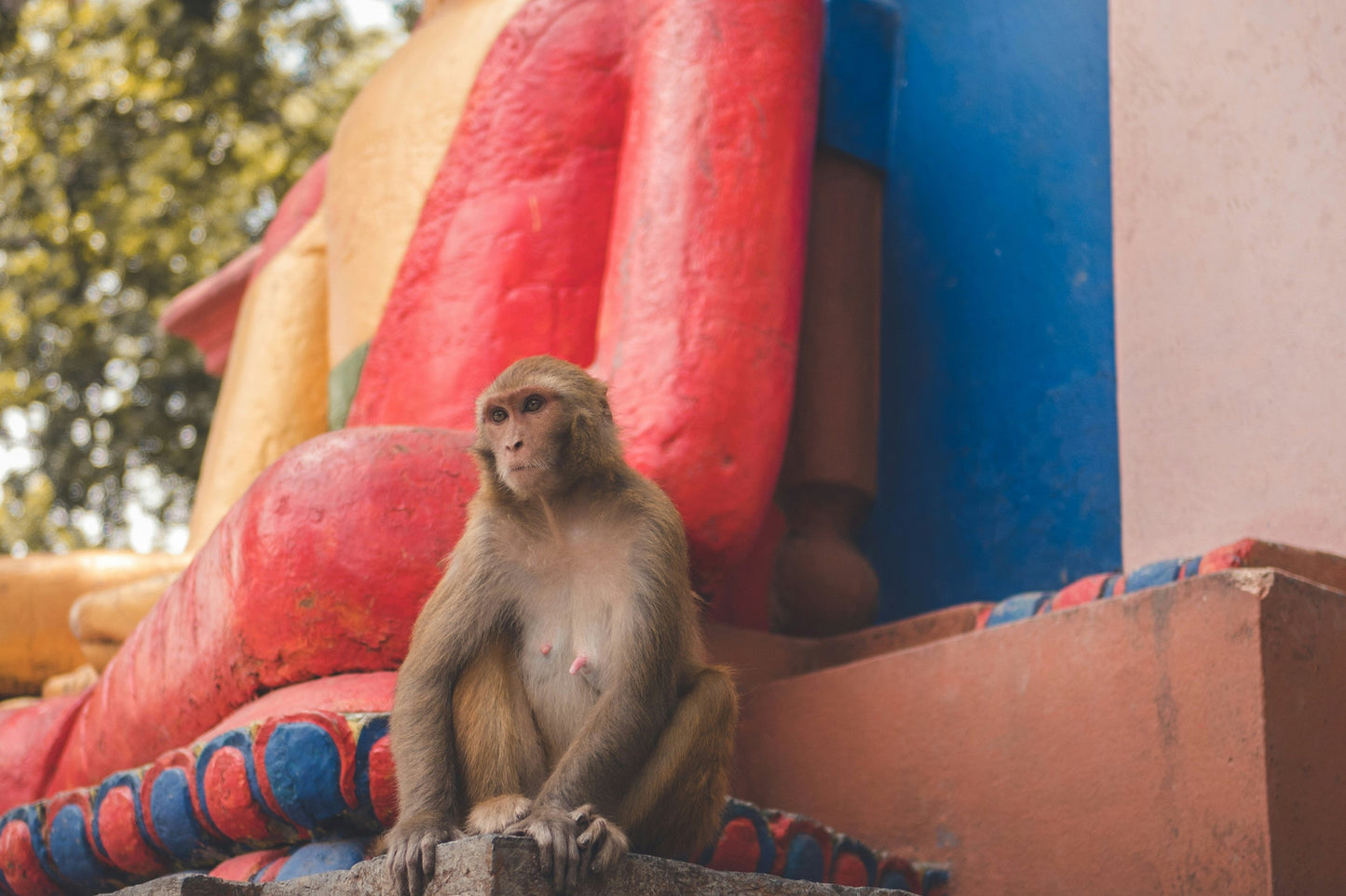Sacred Nepal: 7 Days of Mountains, Temples & Wildlife - BEACH TO BRAES