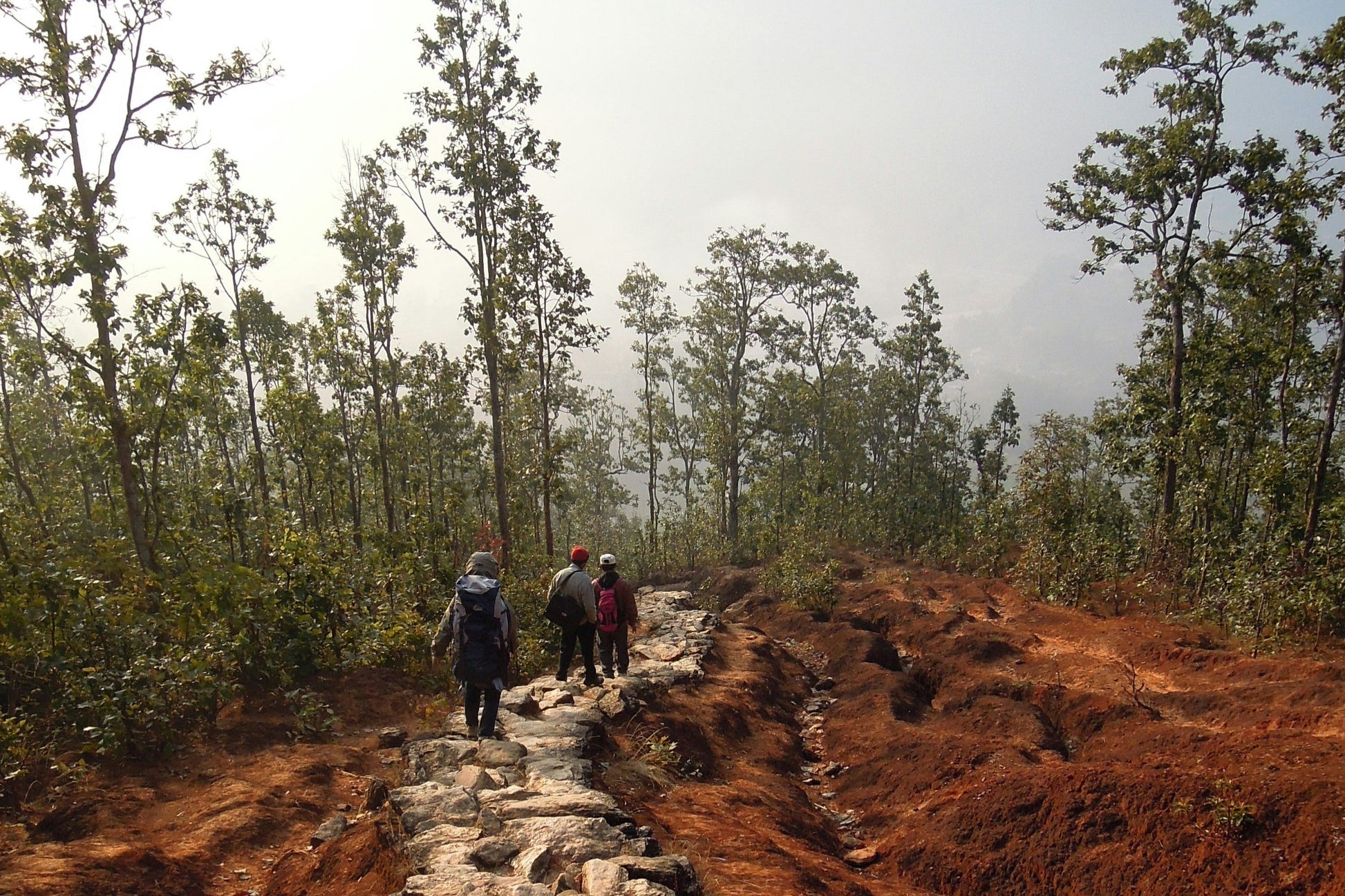 Sacred Nepal: 7 Days of Mountains, Temples & Wildlife - BEACH TO BRAES