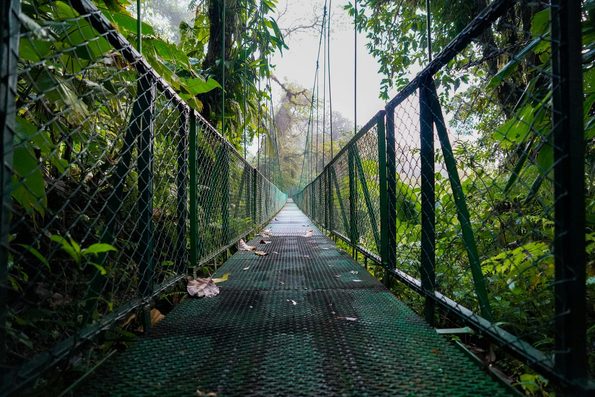 Wonders of Costa Rica: 7 Days of Rainforests, Wildlife, and Coastal Escapes - BEACH TO BRAES
